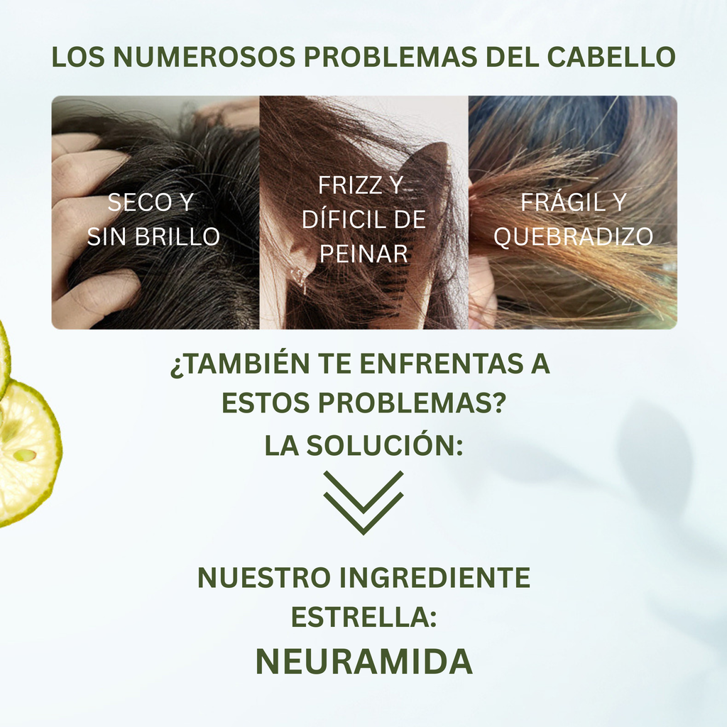 Shampoo Onsensou Kabosu Humectante y Reparador 300 mL